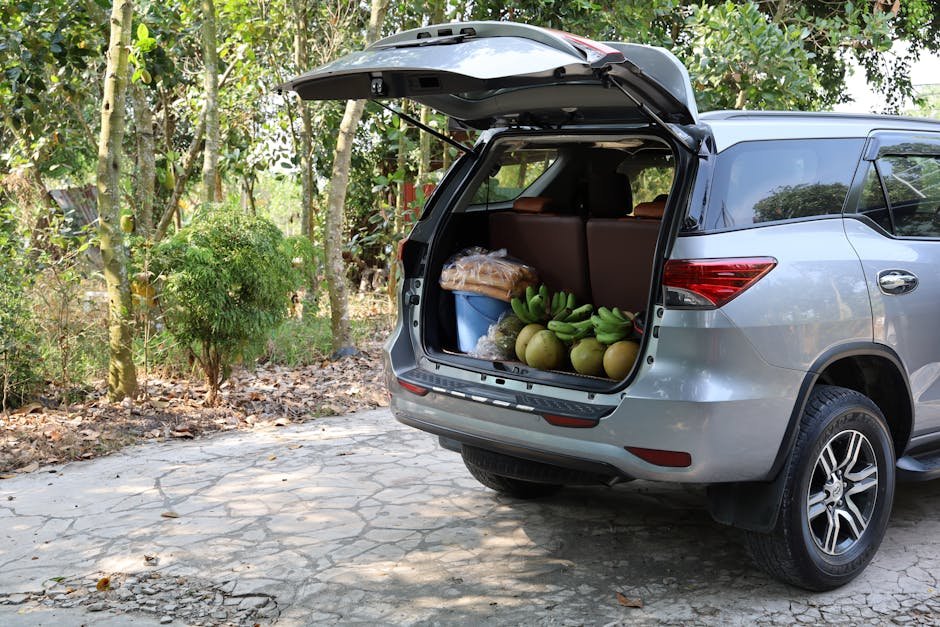 A dual-layer envelope style EV cargo net holding several grocery bags securely against the rear trunk wall of a Tesla Model Y